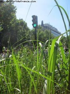 Paris Nature - Paris