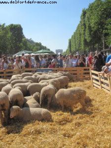 Paris Nature - Paris