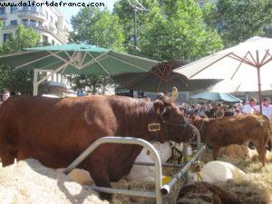 Paris Nature - Paris