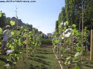 Paris Nature - Paris