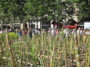 Paris Nature - Paris