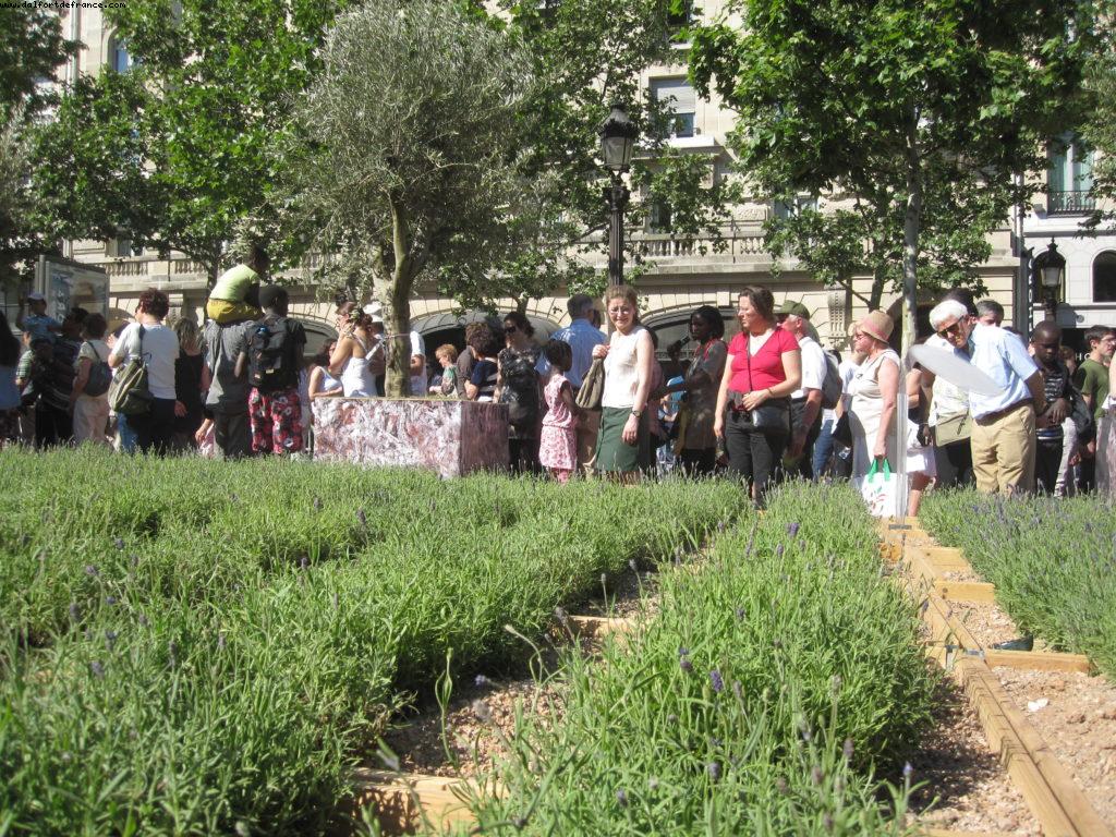 Paris Nature - Paris