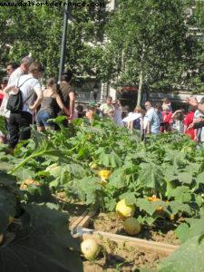 Paris Nature - Paris