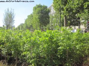 Paris Nature - Paris