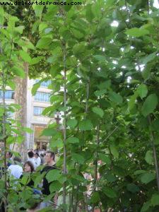 Paris Nature - Paris