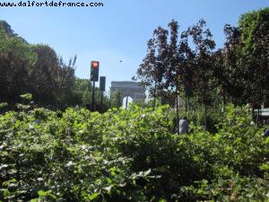 Paris Nature - Paris