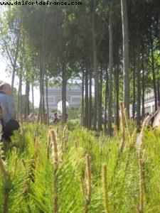 Paris Nature - Paris