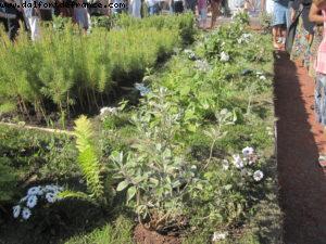 Paris Nature - Paris