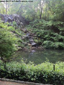 Central Park - New York City