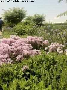 Meatpacking District - High Line Park - New York City