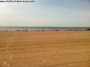 Brighton Beach - New York City