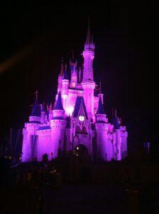 Magic kingdom- Walt Disney World