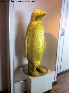 Our 9th RSVP cruise (Nieuw Amsterdam)