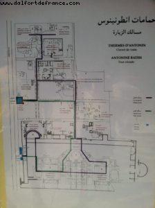 Carthage Ruins - Tunis - Our 9th RSVP cruise (Nieuw Amsterdam)