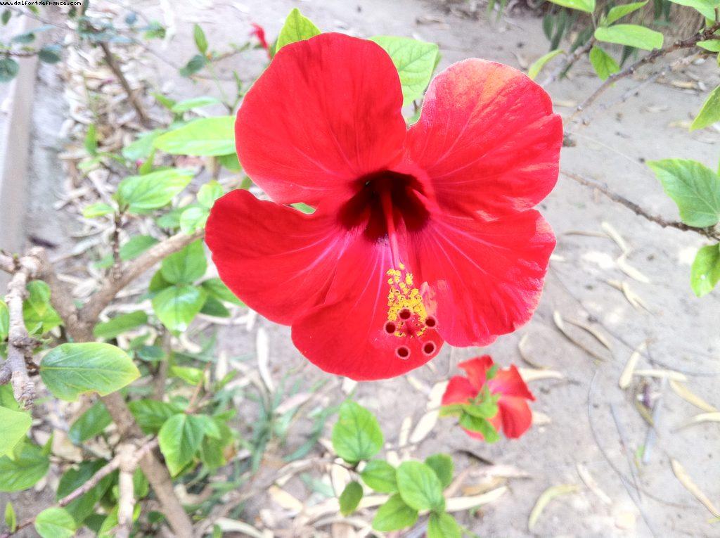 Carthage Ruins - Tunis - Our 9th RSVP cruise (Nieuw Amsterdam)