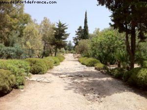 Carthage Ruins - Tunis - Our 9th RSVP cruise (Nieuw Amsterdam)