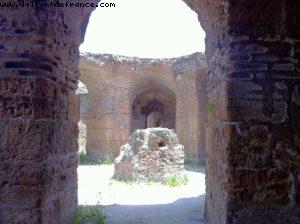 Carthage Ruins - Tunis - Our 9th RSVP cruise (Nieuw Amsterdam)