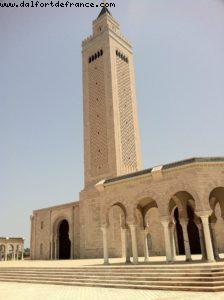 Carthage Ruins - Tunis - Our 9th RSVP cruise (Nieuw Amsterdam)