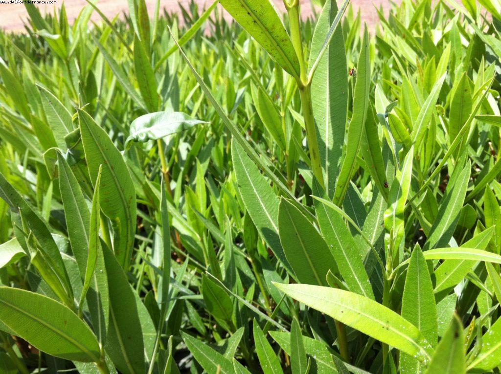 Cistern Ruins - Tunis - Our 9th RSVP cruise (Nieuw Amsterdam)