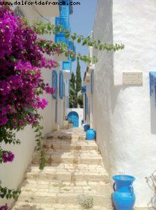 Sidi Bou Said - Tunis - Our 9th RSVP cruise (Nieuw Amsterdam)ia - Our 9th RSVP cruise (Nieuw Amsterdam)