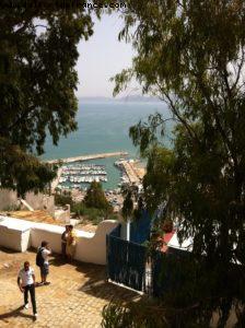 Sidi Bou Said - Tunis - Our 9th RSVP cruise (Nieuw Amsterdam)ia - Our 9th RSVP cruise (Nieuw Amsterdam)