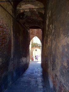 Siena - Our 9th RSVP cruise (Nieuw Amsterdam)