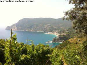 Trekking Path between Monterosse Vernazza - Cinque Terre - Our 40th Atlantis cruise (Celebrity Silhouette)