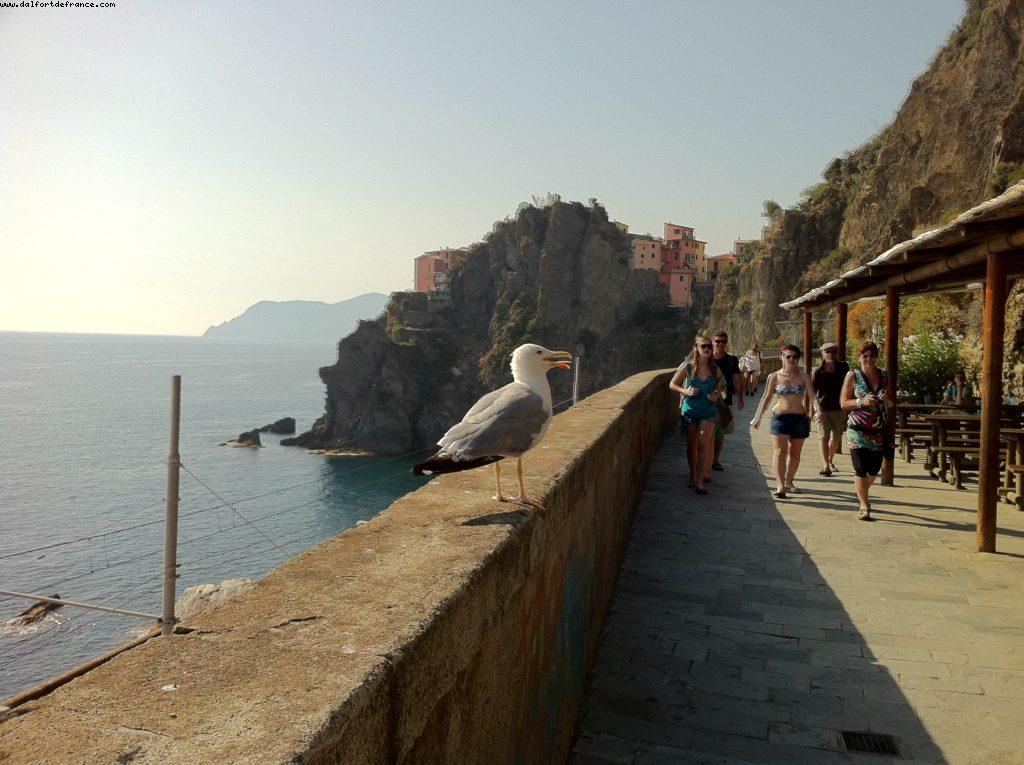 Love walk between Manarola and Riomaggiore - Cinque Terre - Our 40th Atlantis cruise (Celebrity Silhouette)