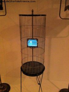 Our 40th Atlantis cruise (Celebrity Silhouette)