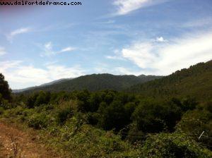 driving in Cosrsica regional Park - Our 40th Atlantis cruise (Celebrity Silhouette)