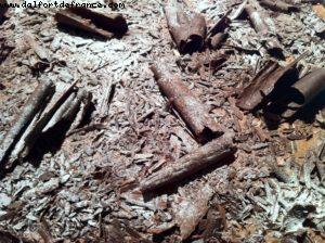 Pique-nique de nuit ! miam miam!!! -Fête des Grattons - Châteaumeillant