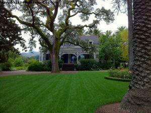 Spottswoode Vignoble - Napa Valley