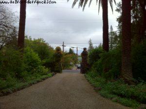 Spottswoode Vignoble - Napa Valley