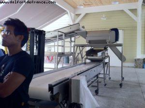 Spottswoode Vignoble - Napa Valley