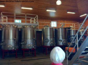 Spottswoode Vignoble - Napa Valley