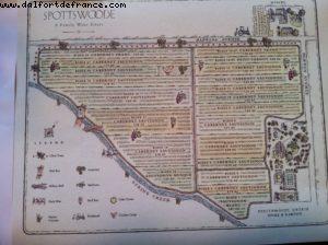 Spottswoode Vignoble - Napa Valley