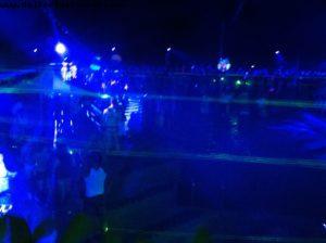 Wild Things - Our 41st Atlantis cruise (Oosterdam)