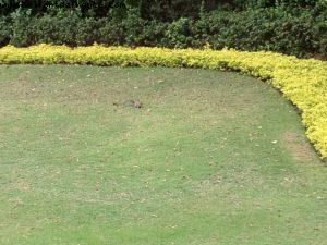 Canada- EPCOT - Walt Disney World