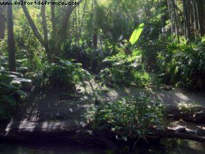 Animal Kingdom - Walt Disney World