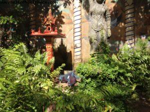 Animal Kingdom - Walt Disney World