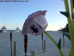 Art Basel - Miami Beach