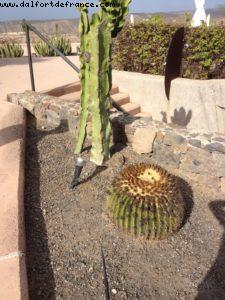 Sheraton Salobre Hôtel et Spa - Maspalomas