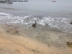 Cozumel - Notre 42eme croisière Atlantis (à bord de l'Allure of the Seas)