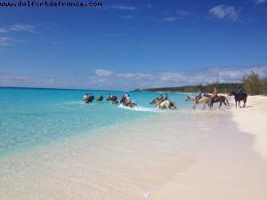 Half moon Cay (île privée) - Notre 9eme croisière RSVP (à bord du Nieuw Amsterdam)