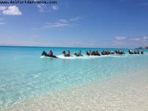 Half moon Cay (île privée) - Notre 9eme croisière RSVP (à bord du Nieuw Amsterdam)