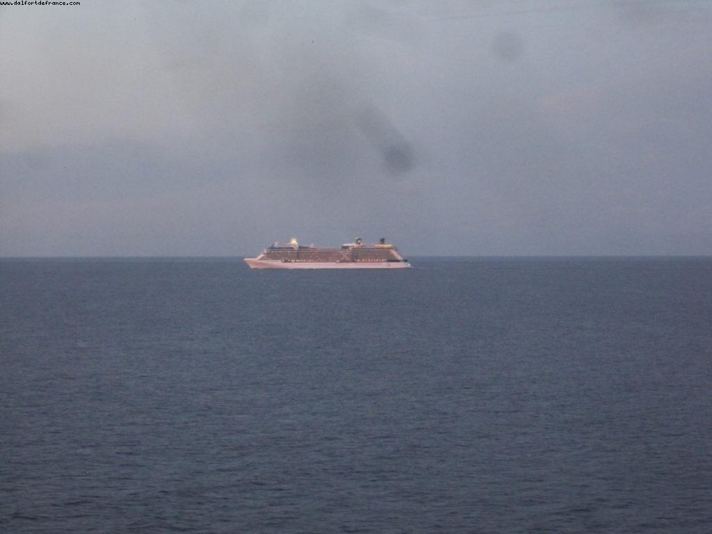 'Pas facile d'être en vert!' ! - Notre 9eme croisière RSVP (à bord du Nieuw Amsterdam)