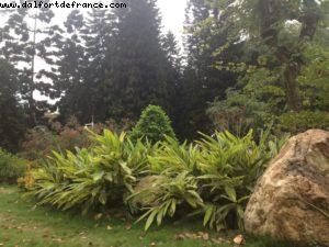 Parc Yuexiu - Canton