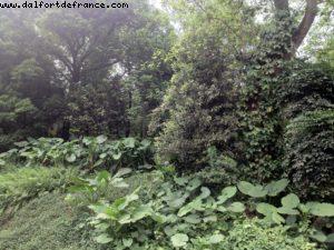 Parc Yuexiu - Canton