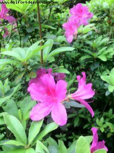 Parc Yuexiu - Canton