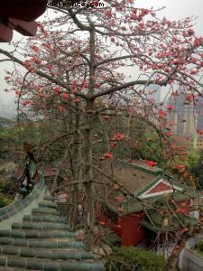 Parc Yuexiu - Canton, Chine 